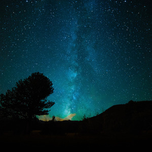 黑人添女人囗交做爰
